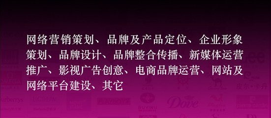 网络营销策划与品牌营销策划的全方位指南 以沪琛品牌营销策划公司为例